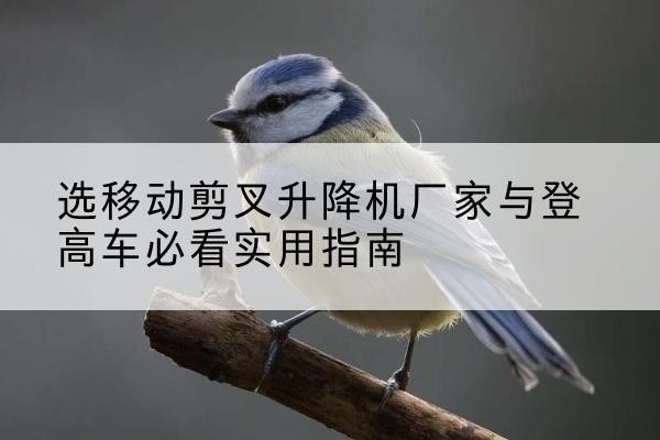 章丘电动升降机厂家-选移动剪叉升降机厂家与登高车必看实用指南