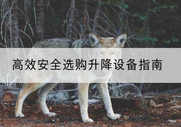 章丘升降货梯厂家推荐-*安全选购升降设备指南